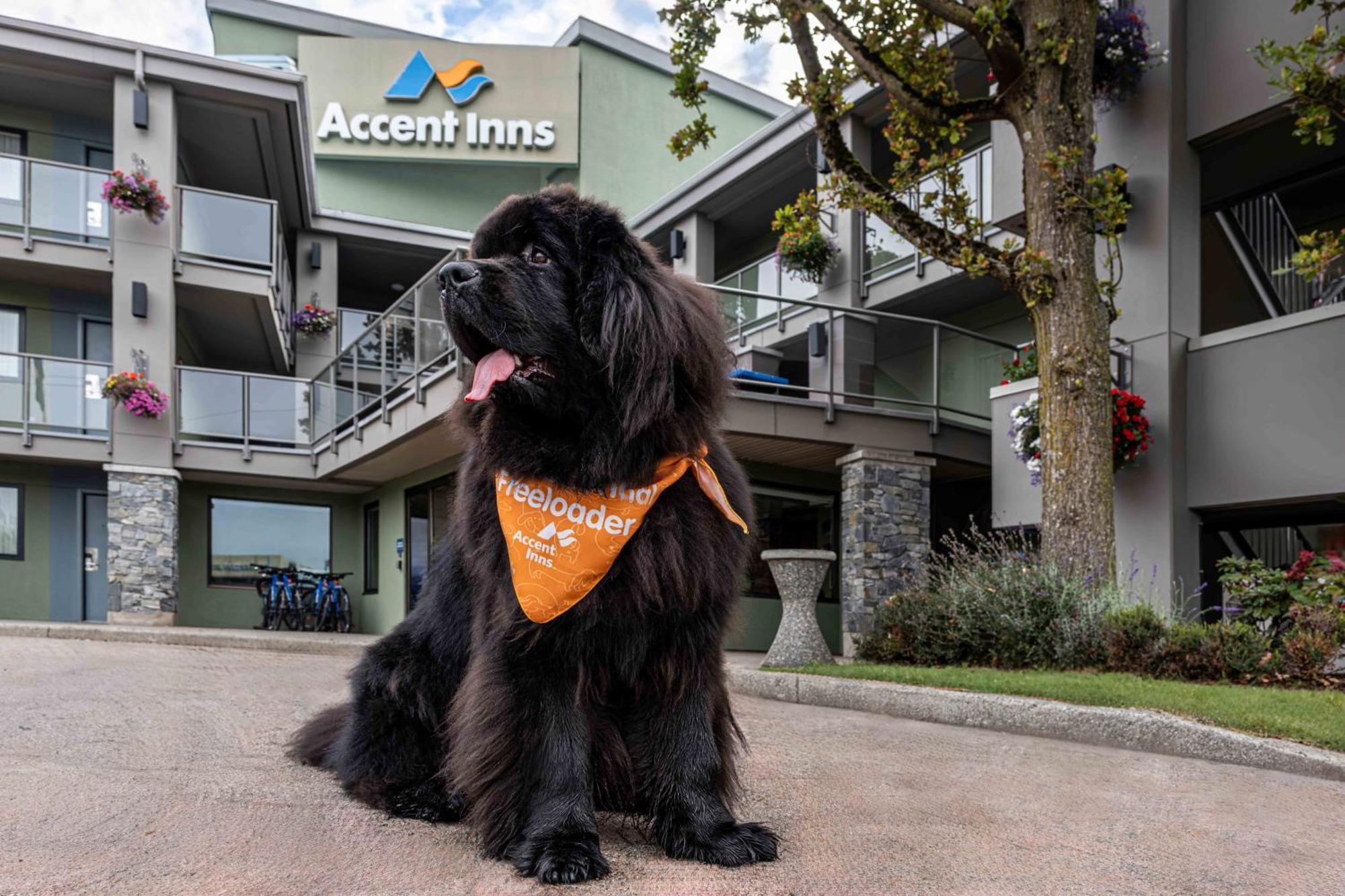 Accent Inns Kamloops Exterior foto